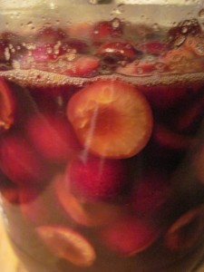 brandied cherries in the jar