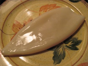 squid tube the size of a large plate!
