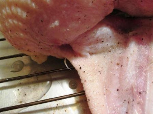 Perfectly Roasted Chicken, www.goodfoodgourmet.com