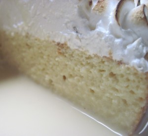 The cake is perfectly soaked all the way through and deliciously moist!