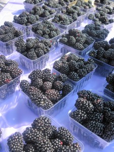 beautiful blackberries, sweet and juicy