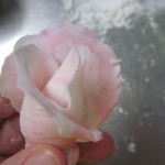 third petal, see the flower begin to take form
