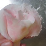 fourth petal
