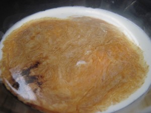 measure out milk, cream and both extracts and set aside