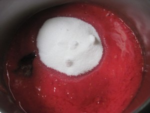 both purees, lemon juice and sugar in a small pot