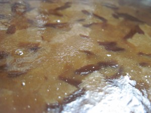 as the granita freezes, scrape the surface with a fork until it forms a slush
