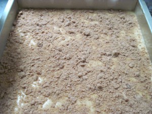 add half of the hot milk cake batter then add half of the streusel on top of the batter in the cake pan