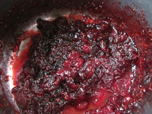 cook all of the ingredients for the cranberry compote until thickened and then allow to cool