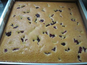 bake until golden brown