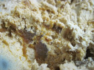 pumpkin ice cream with whiskey pumpkin butter swirls...this is what you want in the frozen ice cream...thick swirls of pumpkin butter scattered throughout the ice cream