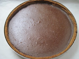 perfectly set chocolate pumpkin pie just out of the oven