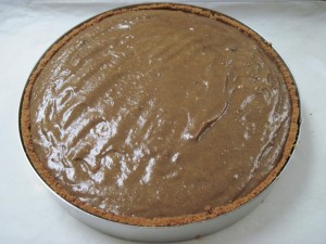 pour evenly into pie crust with the chocolate pumpkin pie filling already baked into it