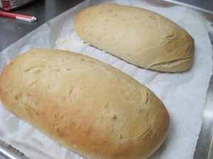 easy daily ciabatta table bread