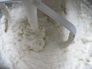 very wet ciabatta dough to get started