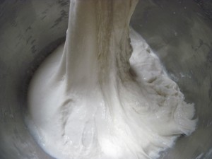 ciabatta dough before proofing for 3 hours