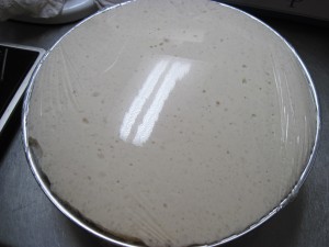 After 3 hours, the ciabatta dough has tripled in size