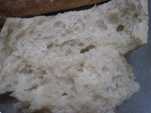 traditional ciabatta has a very porous structure, this is what you are looking for in the final product