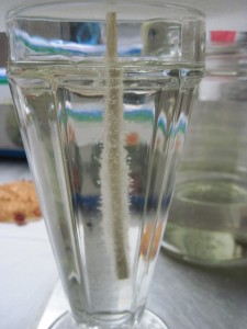 place the dried skewer into the concentrated sugar syrup and let the crystals start growing