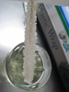 rock sugar after 2 weeks