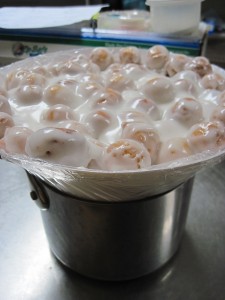 mold the pignolata into a funnel shape to make a Christmas tree