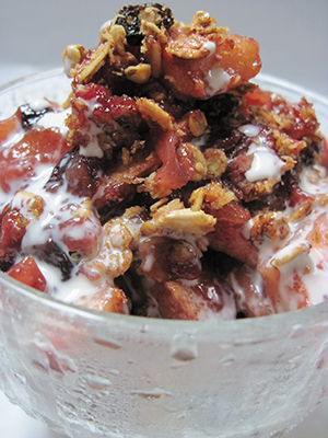Apple Crisp with Coconut Milk