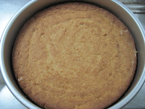 Baked Coconut Rum Cake before pouring on rum syrup