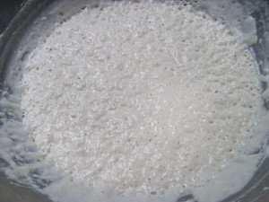 Poolish Pizza Crust