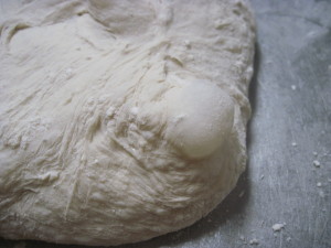 Poolish Pizza Crust