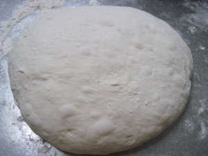 Poolish Pizza Crust