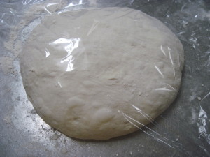 Poolish Pizza Crust