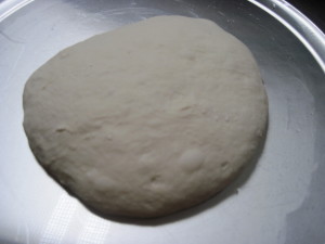 Poolish Pizza Crust