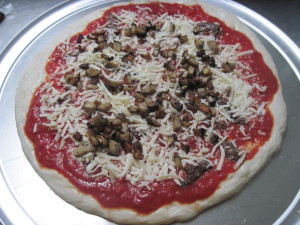 Poolish Pizza Crust