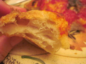 Poolish Pizza Crust