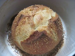 Top Pick, Average Joe Artisan Bread Kit, www.goodfoodgourmet.com