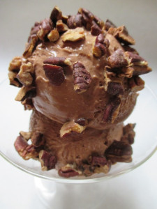 Soft Serve Chocolate Custard Ice Cream, www.goodfoodgourmet.com