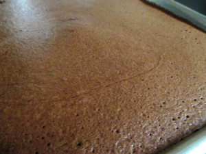 Jacques And Julia's Chocolate Souffle Roulade, www.goodfoodgourmet.com