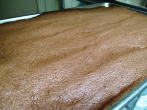 Jacques And Julia's Chocolate Souffle Roulade, www.goodfoodgourmet.com