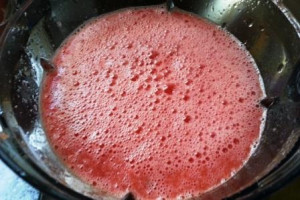 Watermelon Panna Cotta, www.goodfoodgourmet.com