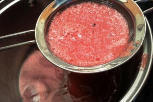 Watermelon Panna Cotta, www.goodfoodgourmet.com