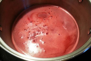 Watermelon Panna Cotta, www.goodfoodgourmet.com