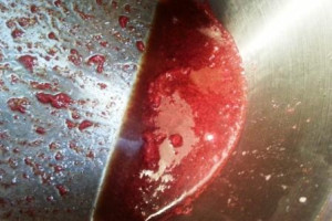Watermelon Panna Cotta, www.goodfoodgourmet.com
