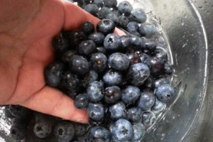 One Recipe, Two Desserts: Part 1 Perfectly Juicy Blueberry Cobbler. www.goodfoodgourmet.com