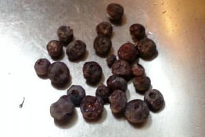 One Recipe, Two Desserts: Part 1 Perfectly Juicy Blueberry Cobbler. www.goodfoodgourmet.com