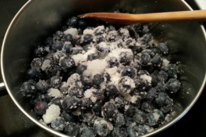 One Recipe, Two Desserts: Part 1 Perfectly Juicy Blueberry Cobbler. www.goodfoodgourmet.com