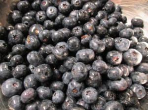 One Recipe, Two Blueberry Desserts: Part 2 Blueberry Buckle, www.goodfoodgourmet.com